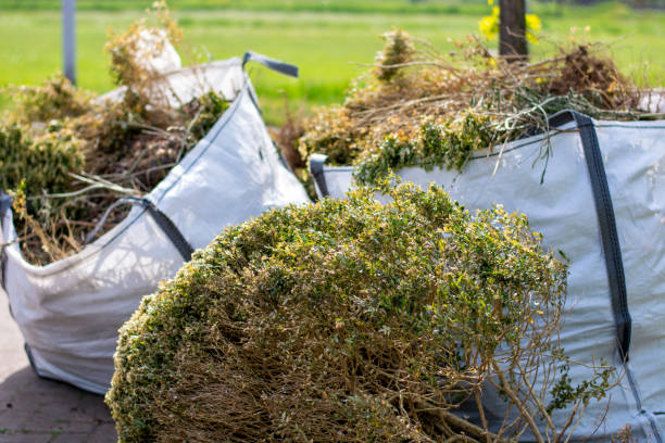 Best Shed Removal  in St Andrews, SC